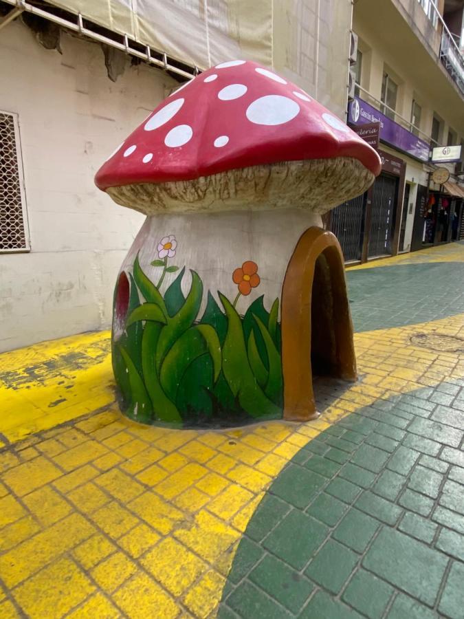 Guest House Del Sol 알리칸테 외부 사진
